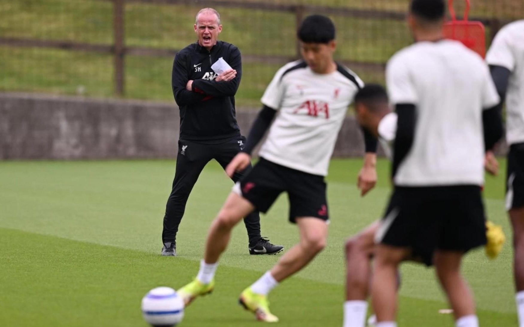 达比修有在 达比修有在